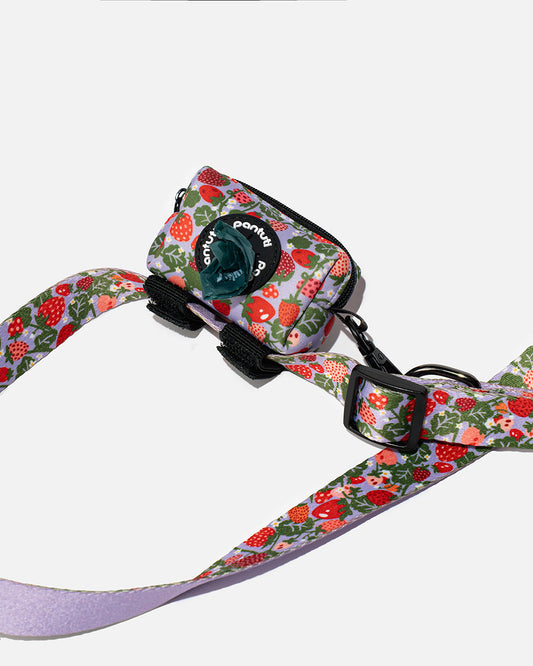 Etui na kupoworki dla psa w truskawki BERRY