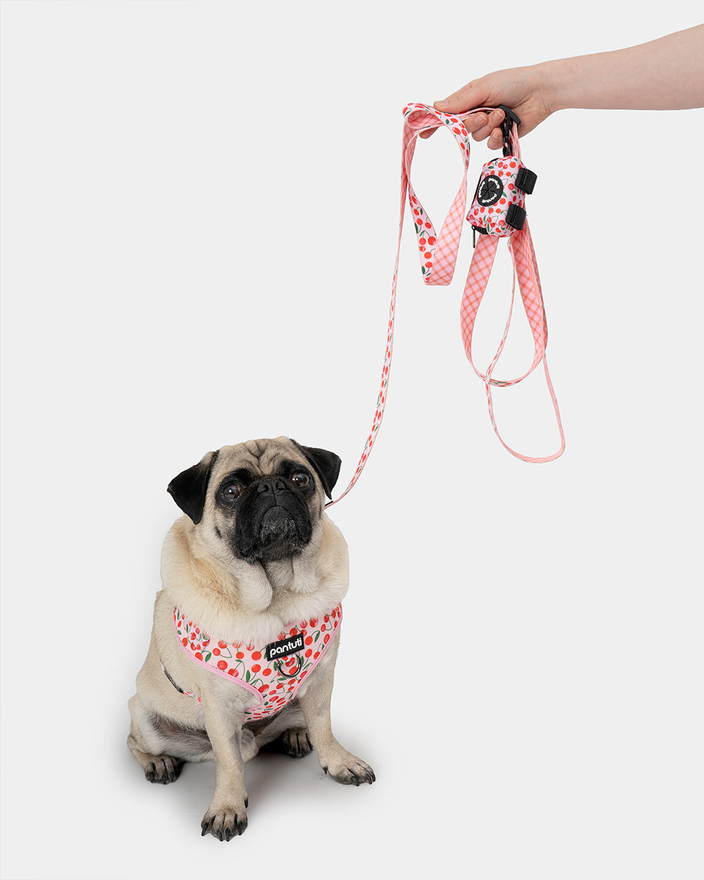 Szelki bezuciskowe dla psa w wisienki CHERRY PUP