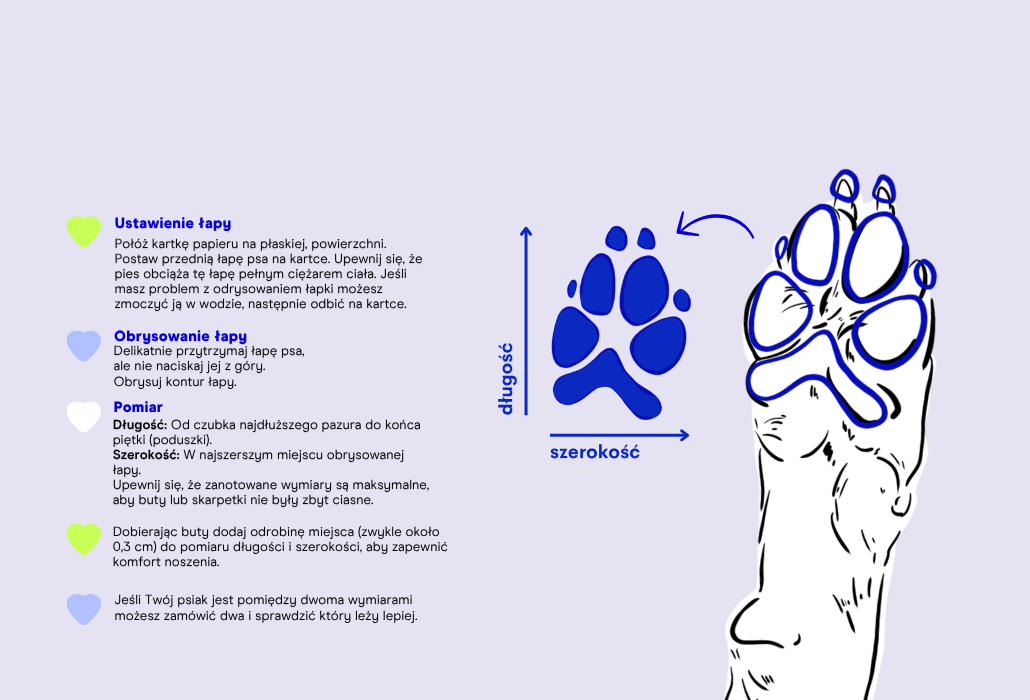 Buty ELON  +/- 2 cm - measurement guide