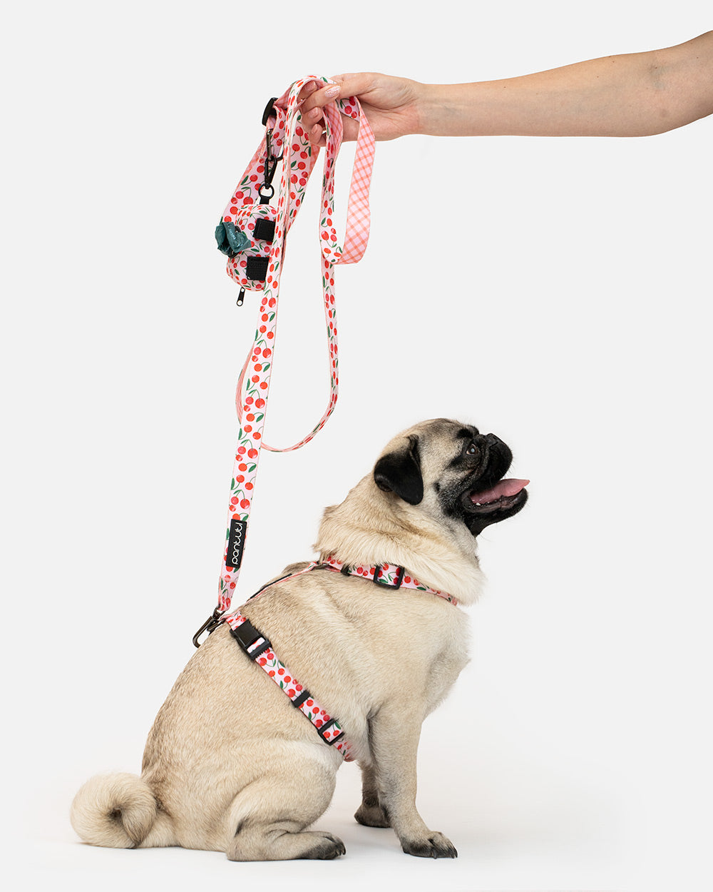 Etui na kupoworki dla psa w wisienki CHERRY PUP